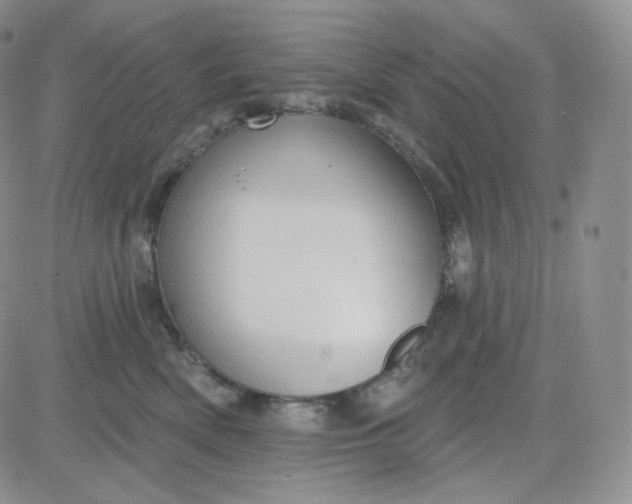 X0000083650522200702261119