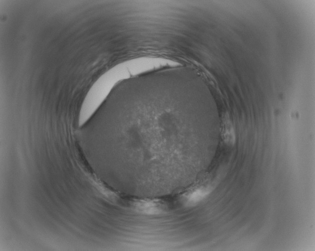 X0000083650523200702261119