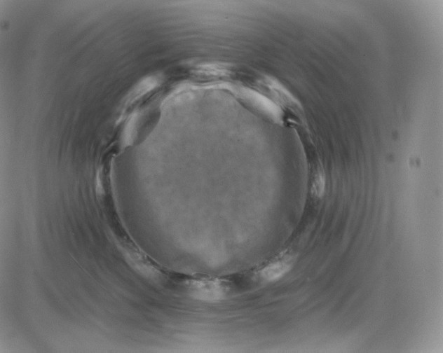 X0000083650524200702261119