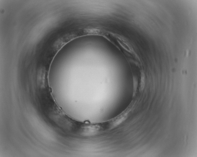 X0000083650525200702261119