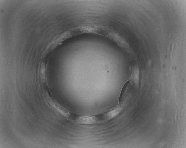 X0000083650526200702261119