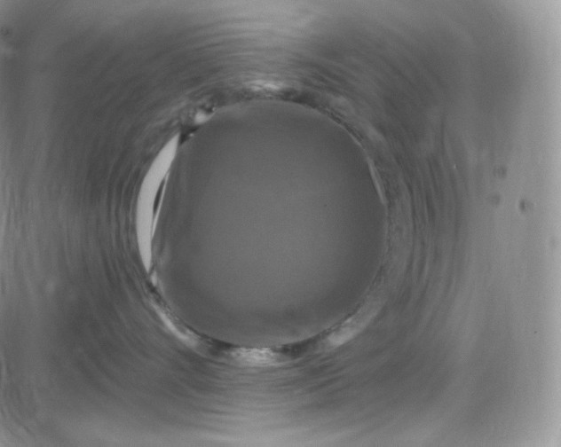 X0000083650528200702261119