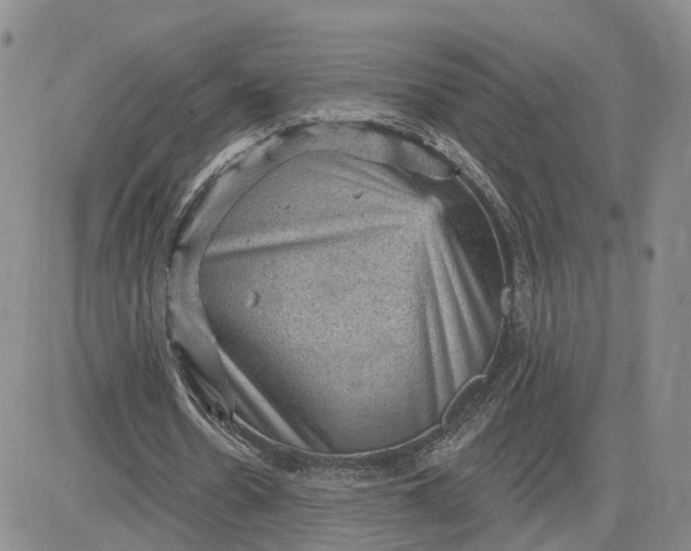 X0000083650530200702261118