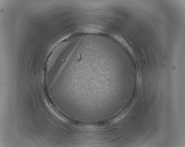 X0000083650533200702261118