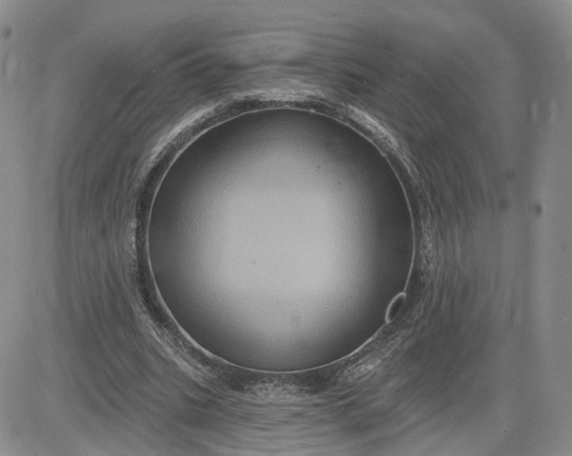 X0000083650535200702261118