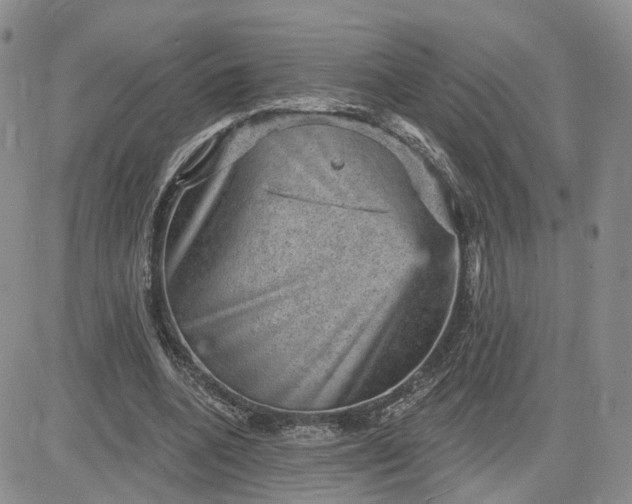 X0000083650536200702261118