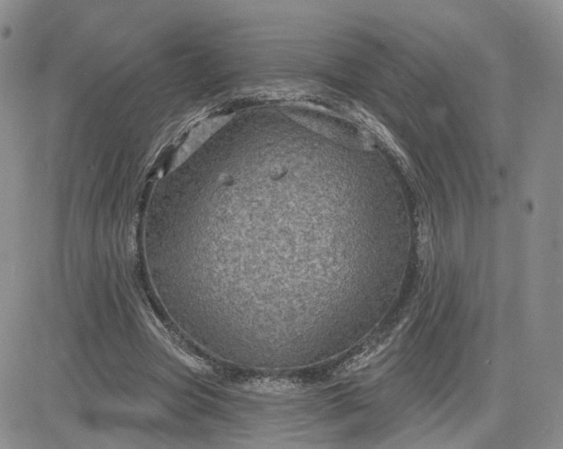 X0000083650537200702261118