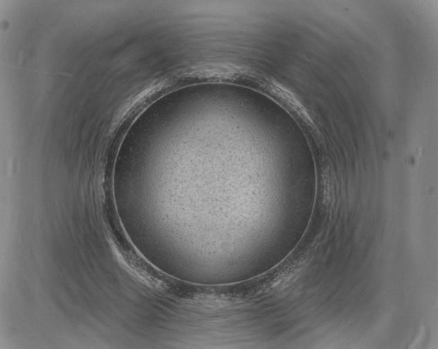 X0000083650538200702261118