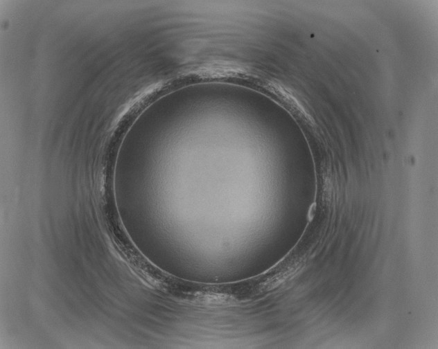 X0000083650539200702261118