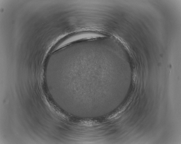 X0000083650540200702261118