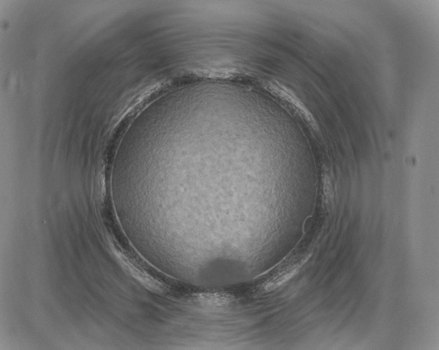 X0000083650541200702261118