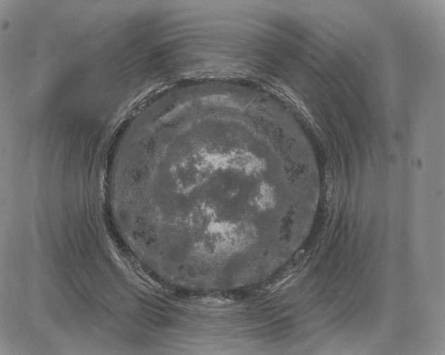 X0000083650542200702261118