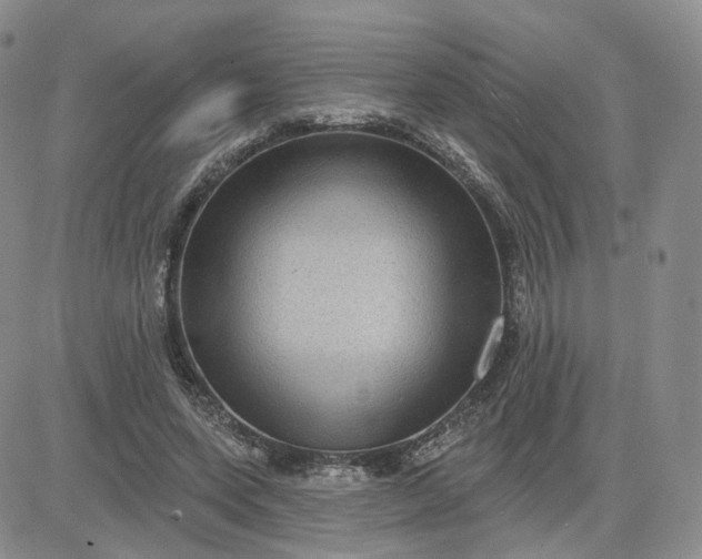 X0000083650543200702261119