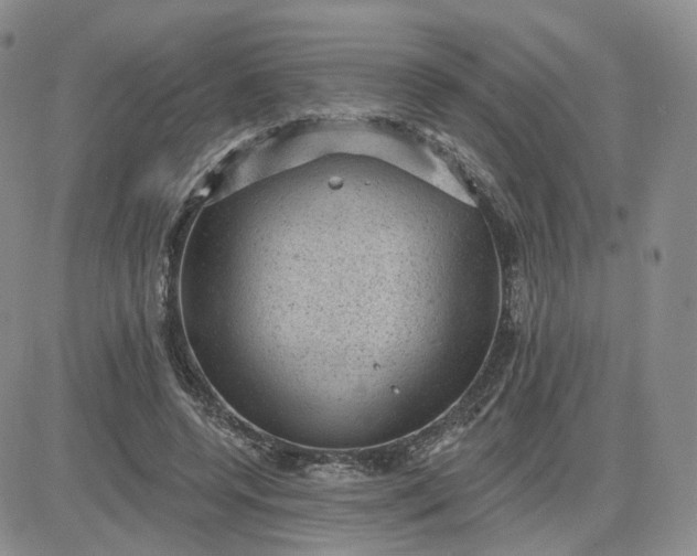 X0000083650544200702261119