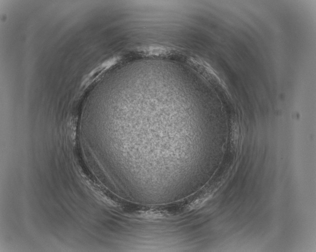 X0000083650545200702261119