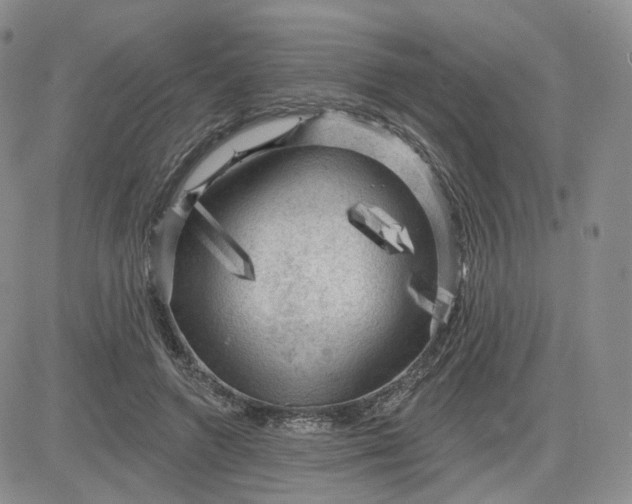 X0000083650546200702261119