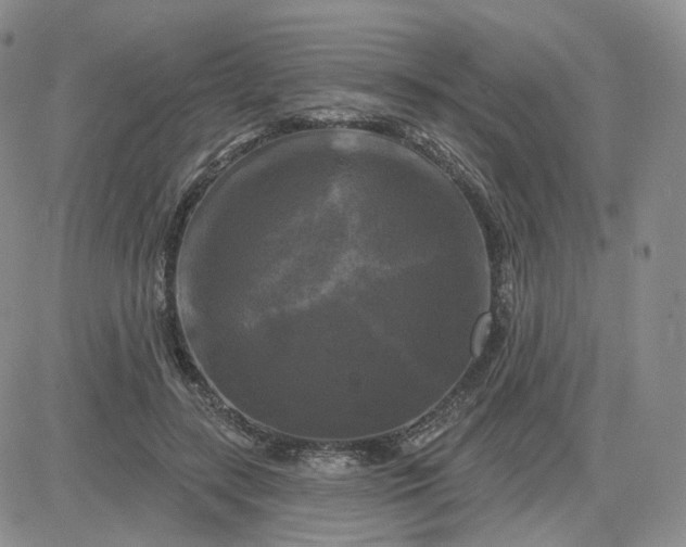 X0000083650547200702261119