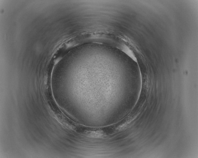 X0000083650548200702261119