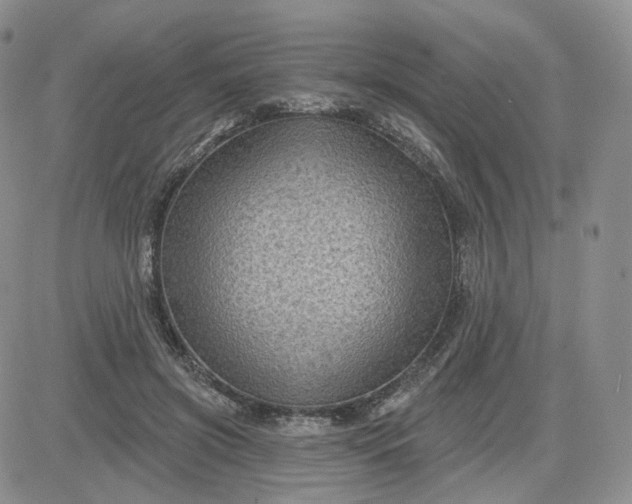 X0000083650549200702261119