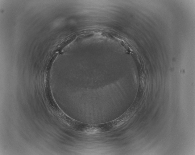 X0000083650551200702261119