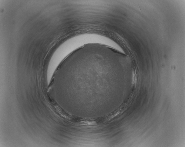 X0000083650552200702261119