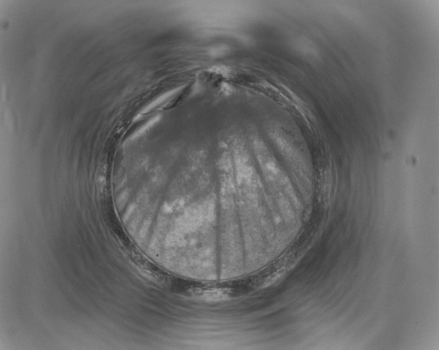 X0000083650553200702261119