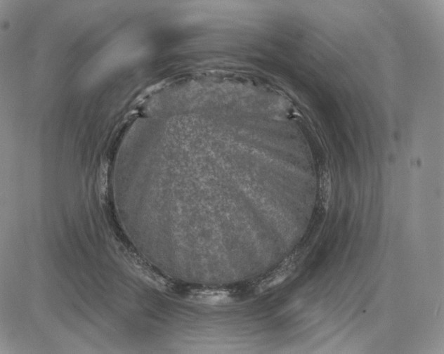 X0000083650554200702261119