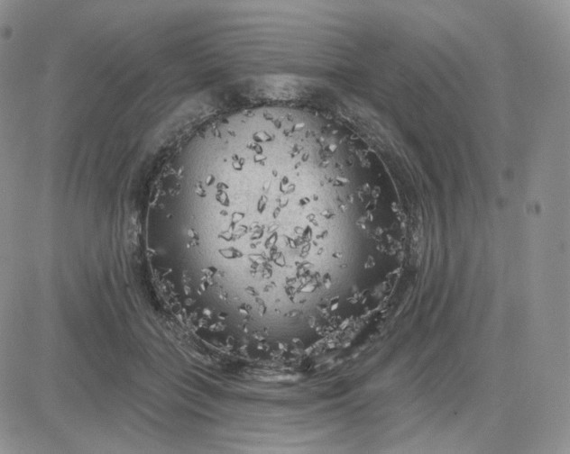 X0000083650555200702261119