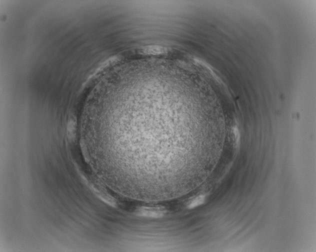 X0000083650556200702261119