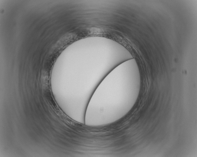 X0000083650557200702261119