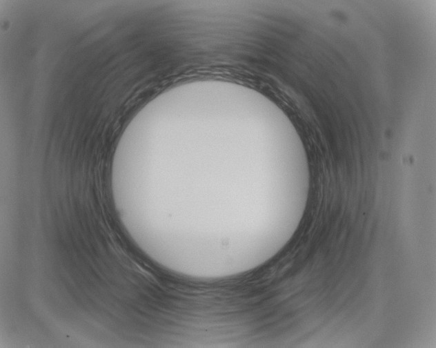 X0000083650558200702261119