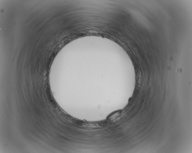 X0000083650559200702261119