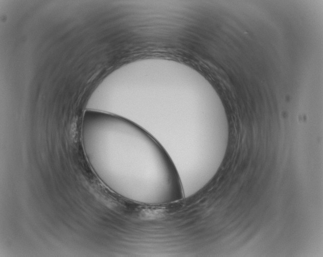 X0000083650560200702261119