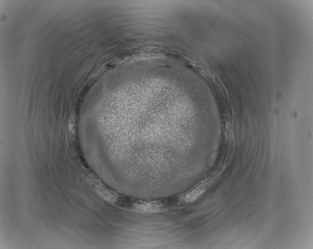 X0000083650561200702261119