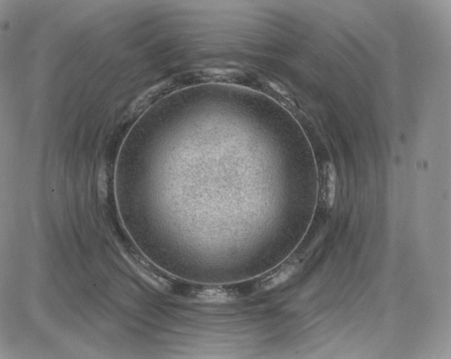 X0000083650562200702261119