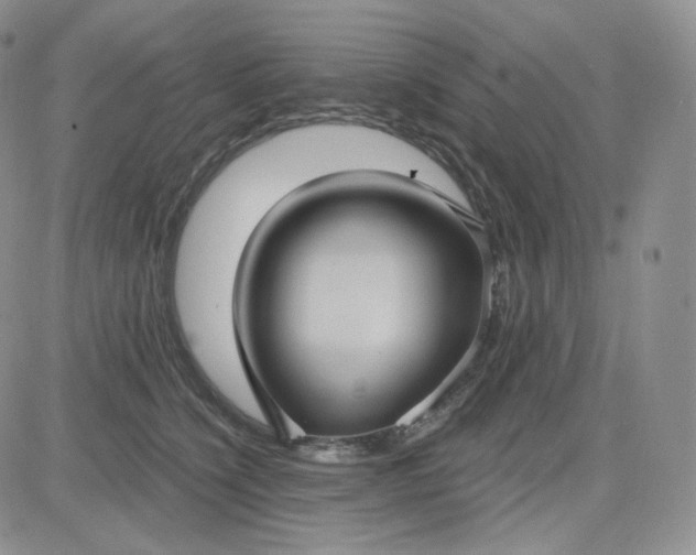 X0000083650564200702261119