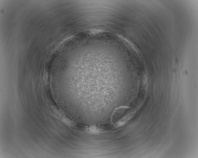 X0000083650565200702261119