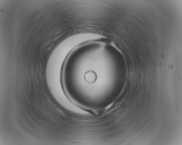 X0000083650566200702261119