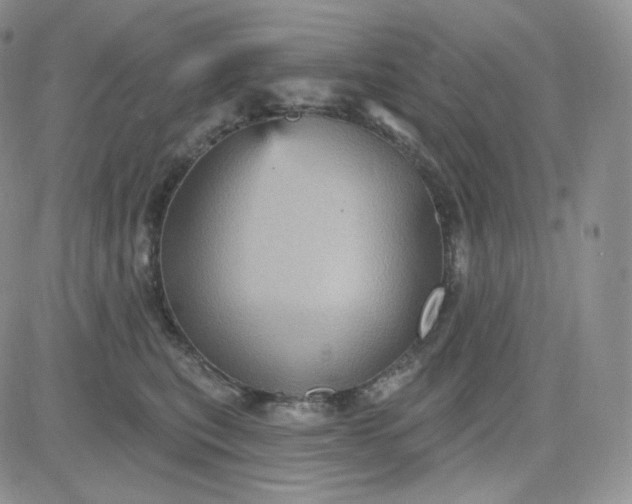 X0000083650567200702261119