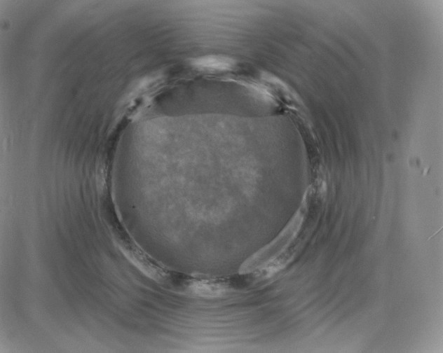 X0000083650568200702261119