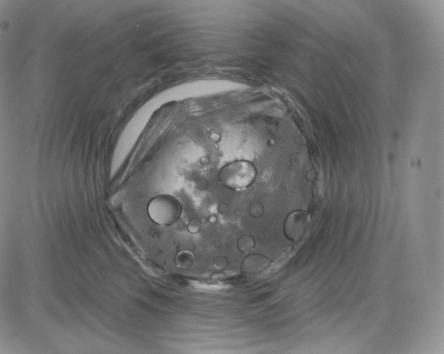 X0000083650569200702261119