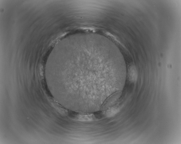 X0000083650571200702261119