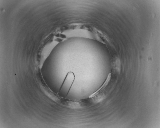 X0000083650572200702261119