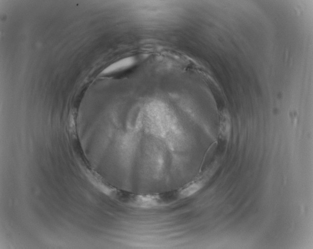 X0000083650573200702261119