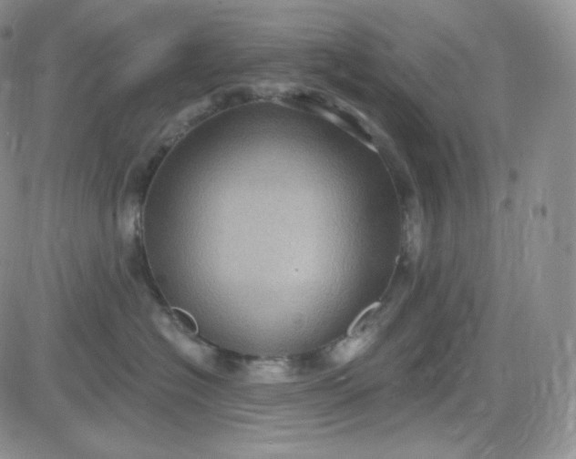 X0000083650574200702261119