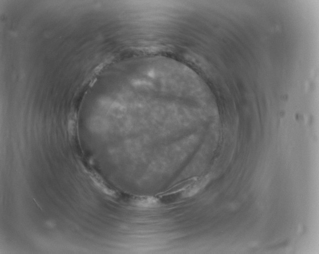 X0000083650576200702261119