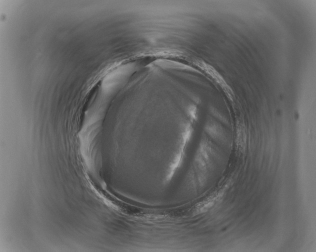 X0000083650577200702261118