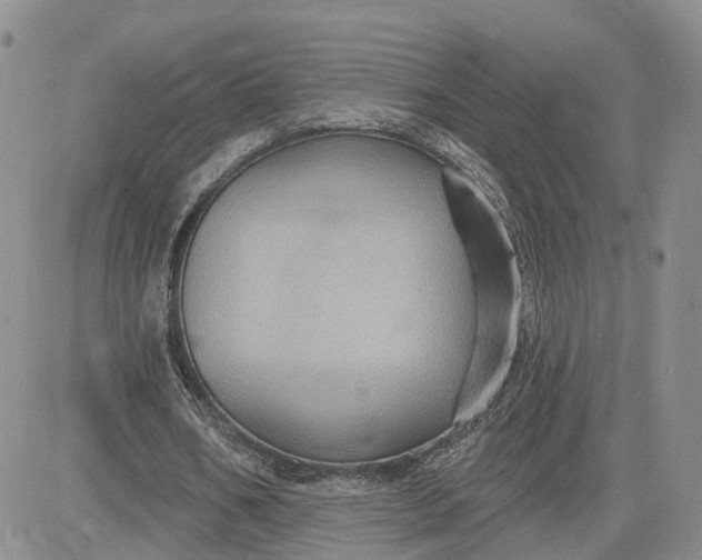 X0000083650578200702261118