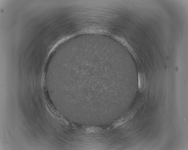 X0000083650579200702261118