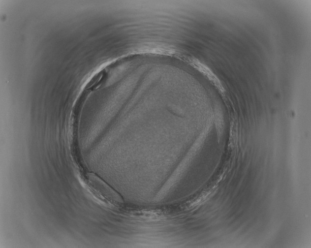 X0000083650580200702261118